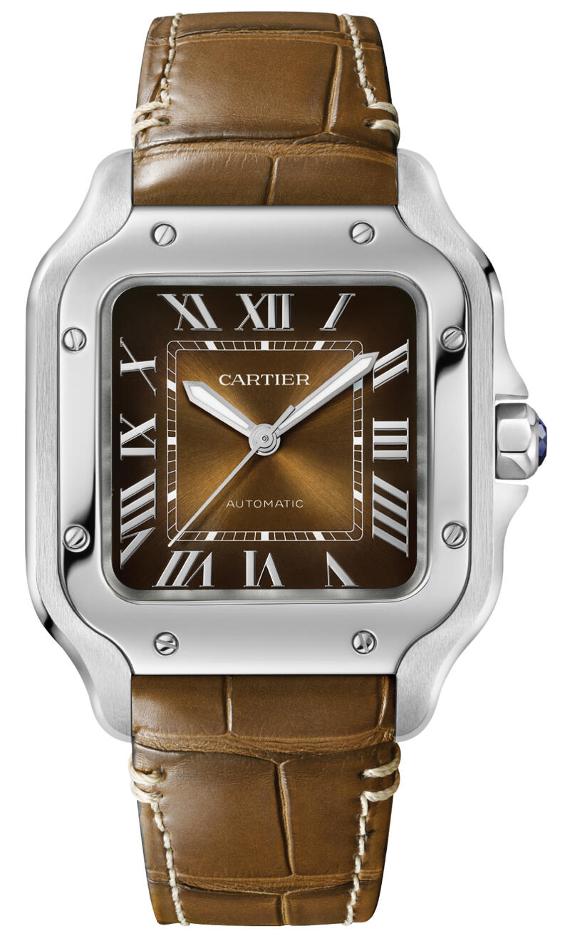 Cartier-Cartier Santos de Cartier WSSA0065-WSSA0065_2