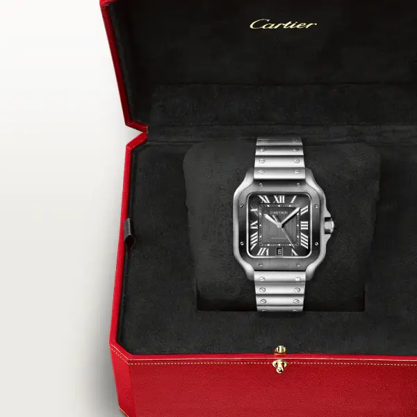 Cartier Santos de Cartier WSSA0037 Carollinum