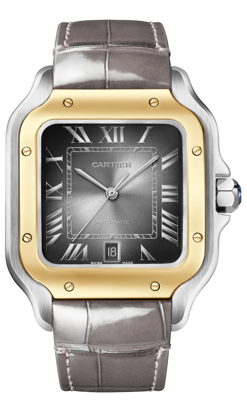 Cartier-Cartier Santos de Cartier Watch W2SA0030-W2SA0030_2