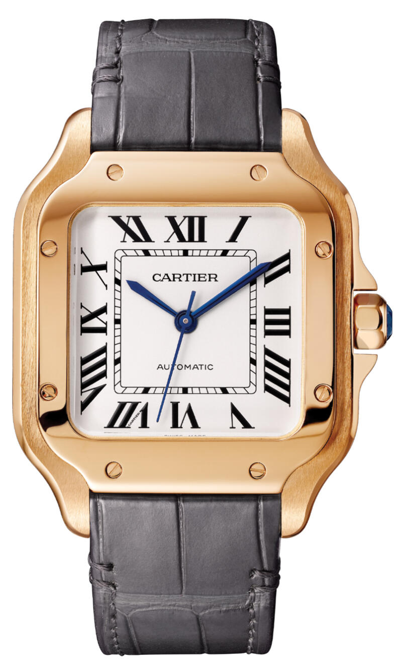 Cartier-Cartier Santos de Cartier WGSA0031-WGSA0031_2