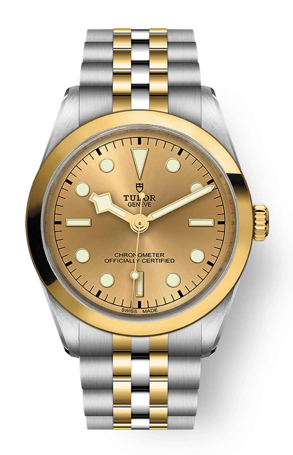 TUDOR Black Bay 36 S G M79643 0005 Carollinum