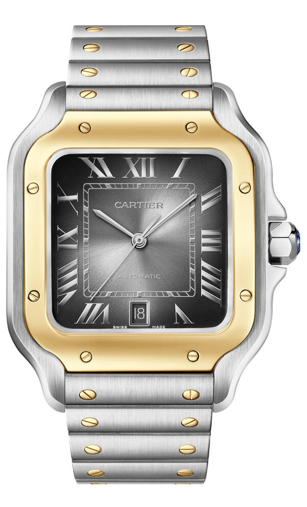 Cartier-Cartier Santos de Cartier Watch W2SA0030-W2SA0030_1